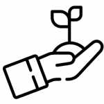 Wills, Estates &amp; Family Provision Claims--